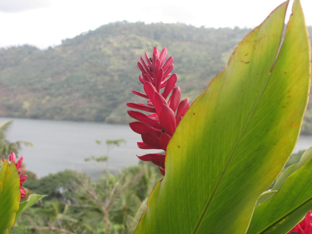 Bamboo Villa Kandy Digana Bagian luar foto